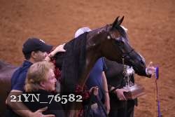 21YN_76582 thumbnail