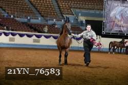 21YN_76583 thumbnail