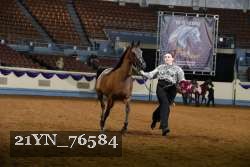 21YN_76584 thumbnail