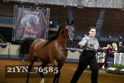 21YN_76585 thumbnail
