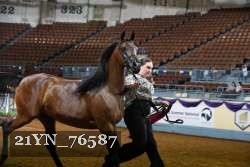 21YN_76587 thumbnail