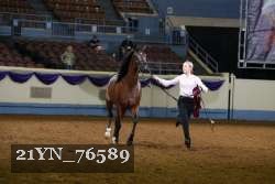 21YN_76589 thumbnail