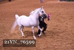 21YN_76599 thumbnail
