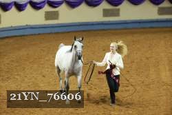 21YN_76606 thumbnail