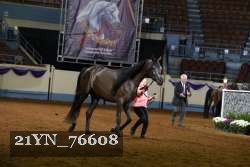 21YN_76608 thumbnail