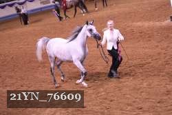 21YN_76609 thumbnail