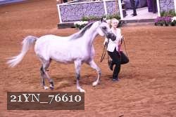 21YN_76610 thumbnail