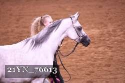 21YN_76613 thumbnail