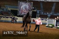 21YN_76617 thumbnail
