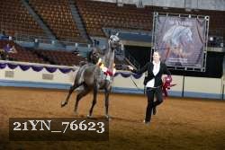 21YN_76623 thumbnail