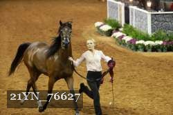 21YN_76627 thumbnail