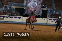 21YN_76629 thumbnail