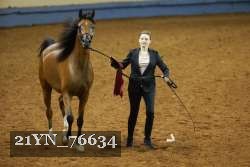 21YN_76634 thumbnail