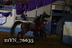 21YN_76635 thumbnail