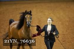 21YN_76636 thumbnail