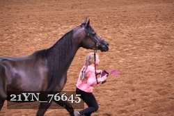 21YN_76645 thumbnail
