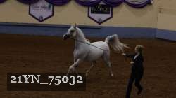 21YN_75032 thumbnail