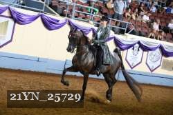 21YN_25729 thumbnail