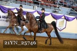 21YN_25746 thumbnail