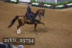 21YN_25754 thumbnail