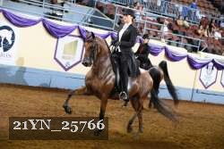 21YN_25766 thumbnail