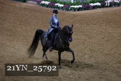 21YN_25792 thumbnail