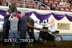 21YN_72632 thumbnail