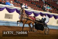 21YN_72666 thumbnail