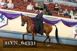 21YN_64331 thumbnail