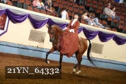 21YN_64332 thumbnail