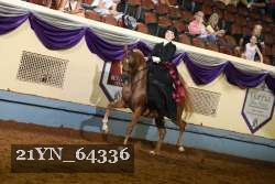 21YN_64336 thumbnail
