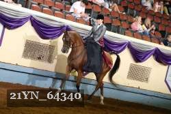 21YN_64340 thumbnail