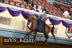 21YN_64341 thumbnail