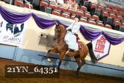21YN_64351 thumbnail