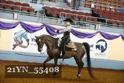 21YN_55408 thumbnail