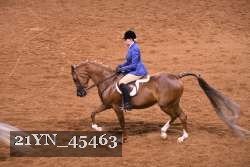 21YN_45463 thumbnail