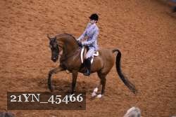 21YN_45466 thumbnail