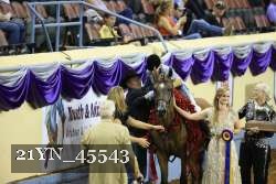 21YN_45543 thumbnail