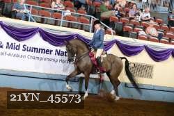 21YN_45573 thumbnail