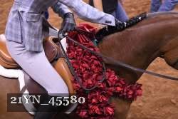 21YN_45580 thumbnail