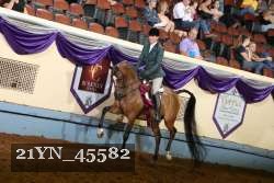 21YN_45582 thumbnail