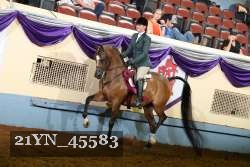 21YN_45583 thumbnail