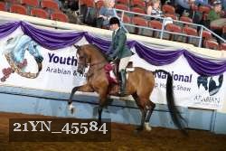 21YN_45584 thumbnail