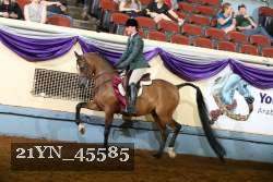 21YN_45585 thumbnail