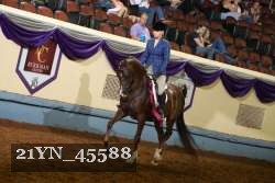 21YN_45588 thumbnail