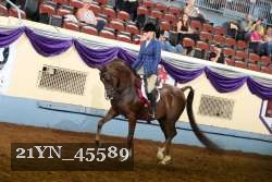 21YN_45589 thumbnail