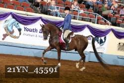 21YN_45591 thumbnail