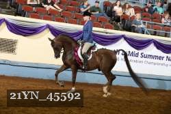 21YN_45592 thumbnail