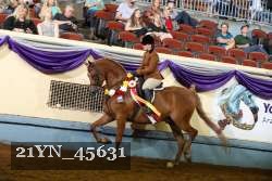 21YN_45631 thumbnail
