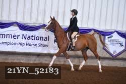21YN_52183 thumbnail